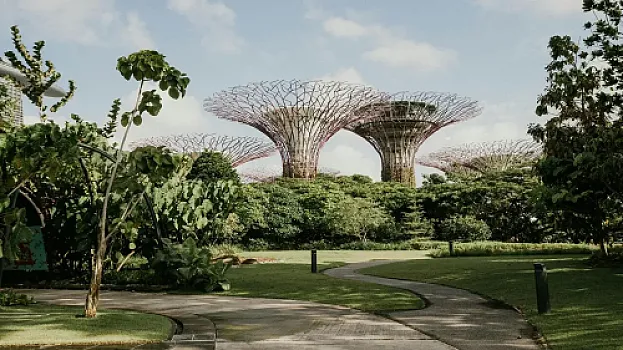 Silver Steps: The Best Walking Spots in Singapore